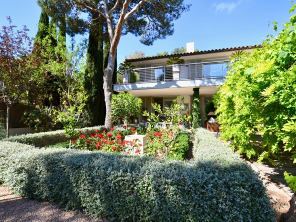 Immobilien Mallorca - Luxus Immobilien, Finca und Luxus Appartements auf Mallorca kaufen - Claus von Benz Immobilien Mallorca