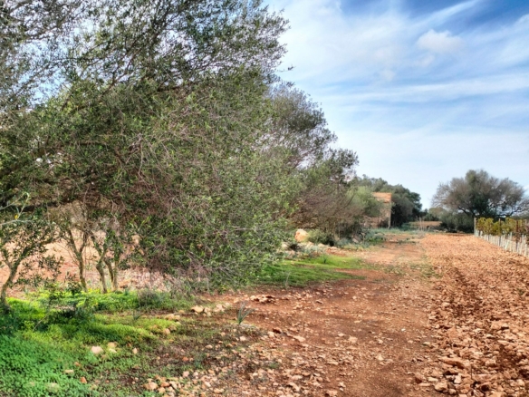 llucmayor property view3 min
