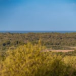 ses salines bild1 Inmobiliaria Mallorca - Propiedades de lujo, fincas y pisos de lujo en venta en Mallorca - Claus von Benz Inmobiliaria Mallorca