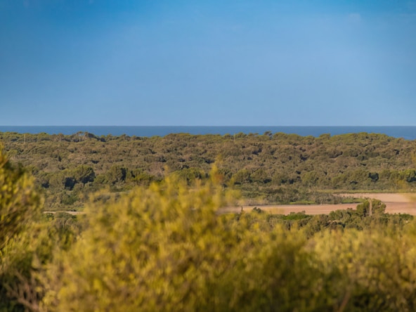 ses salines bild1 Inmobiliaria Mallorca - Propiedades de lujo, fincas y pisos de lujo en venta en Mallorca - Claus von Benz Inmobiliaria Mallorca