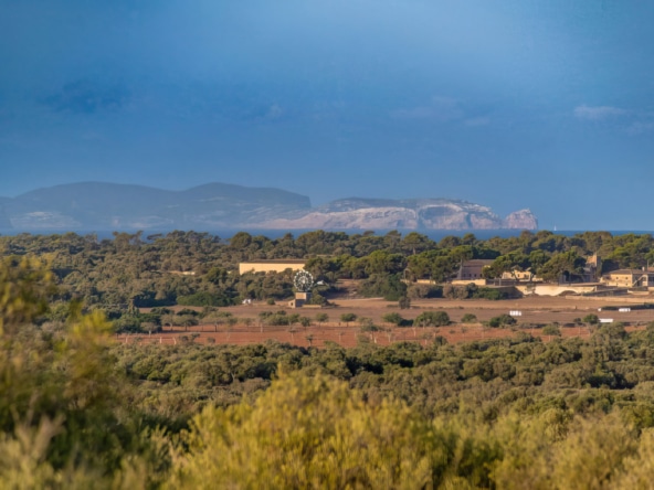 ses salines bild2 Inmobiliaria Mallorca - Propiedades de lujo, fincas y pisos de lujo en venta en Mallorca - Claus von Benz Inmobiliaria Mallorca