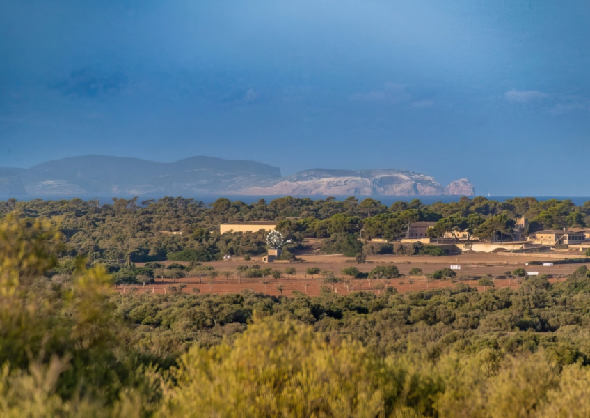 ses salines bild2 Inmobiliaria Mallorca - Propiedades de lujo, fincas y pisos de lujo en venta en Mallorca - Claus von Benz Inmobiliaria Mallorca