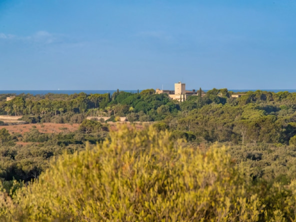 ses salines bild3 Inmobiliaria Mallorca - Propiedades de lujo, fincas y pisos de lujo en venta en Mallorca - Claus von Benz Inmobiliaria Mallorca