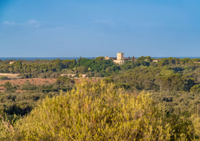 ses salines bild3 Inmobiliaria Mallorca - Propiedades de lujo, fincas y pisos de lujo en venta en Mallorca - Claus von Benz Inmobiliaria Mallorca