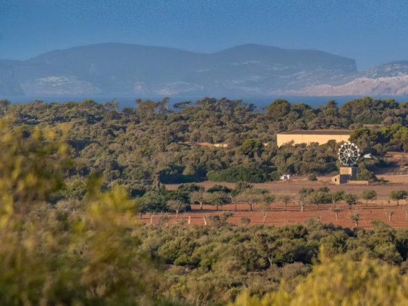 ses salines bild4 Inmobiliaria Mallorca - Propiedades de lujo, fincas y pisos de lujo en venta en Mallorca - Claus von Benz Inmobiliaria Mallorca