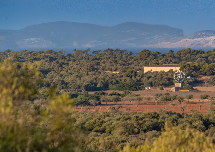 ses salines bild4 Real Estate Mallorca - Luxury properties, fincas and luxury apartments for sale in Mallorca - Claus von Benz Real Estate Mallorca