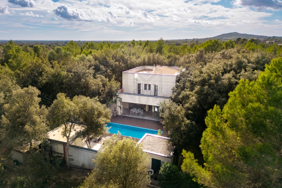 Immobilien Mallorca - Luxus Immobilien, Finca und Luxus Appartements auf Mallorca kaufen - Claus von Benz Immobilien Mallorca