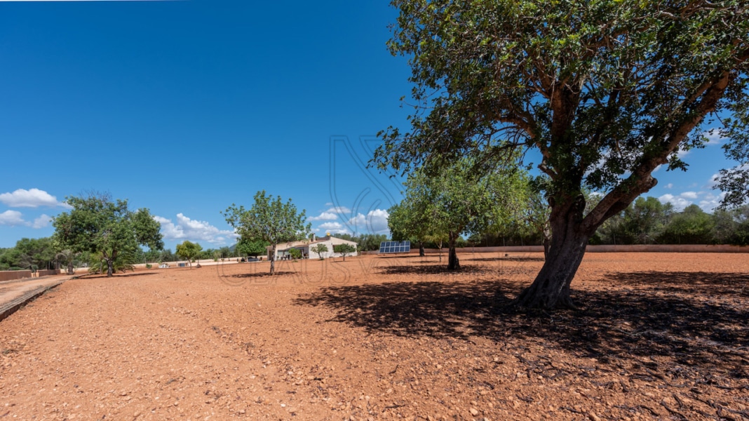 plot 1 2 Real Estate Mallorca - Luxury properties, fincas and luxury apartments for sale in Mallorca - Claus von Benz Real Estate Mallorca