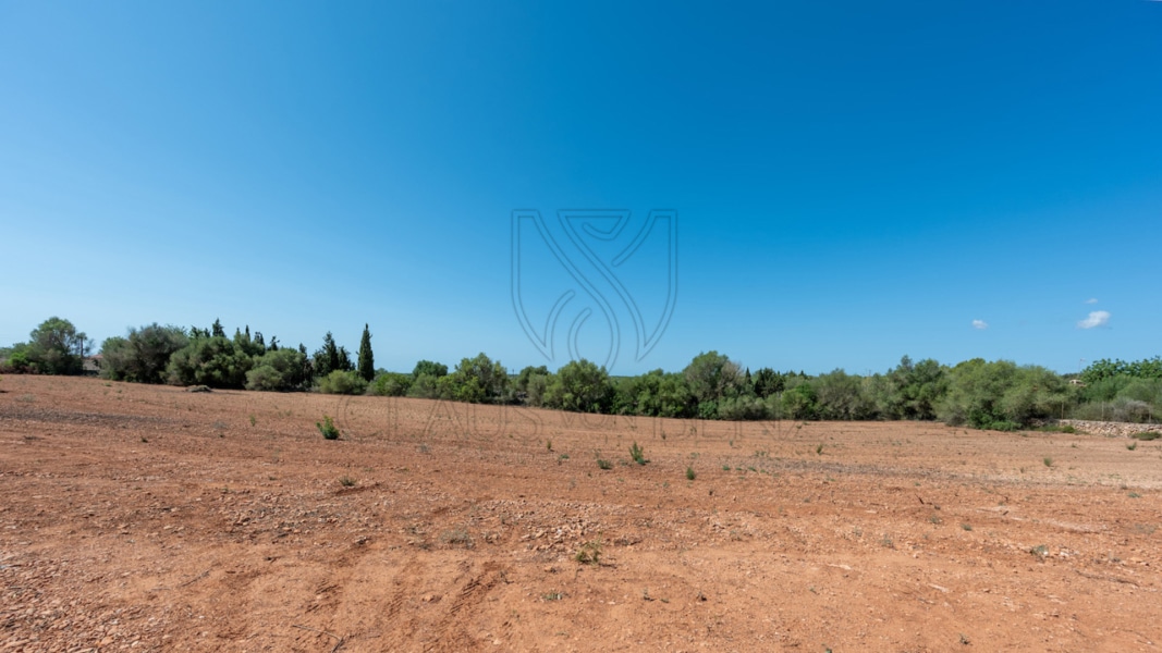 plot 2 2 Real Estate Mallorca - Luxury properties, fincas and luxury apartments for sale in Mallorca - Claus von Benz Real Estate Mallorca