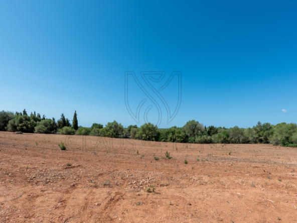 plot 2 2 Real Estate Mallorca - Luxury properties, fincas and luxury apartments for sale in Mallorca - Claus von Benz Real Estate Mallorca