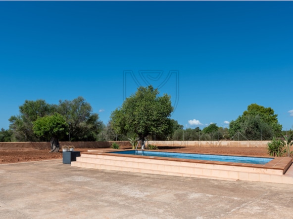 pool 1 1 Real Estate Mallorca - Luxury properties, fincas and luxury apartments for sale in Mallorca - Claus von Benz Real Estate Mallorca