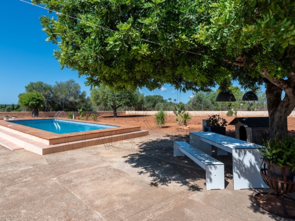 pool blick Immobilien Mallorca - Propiedades de lujo, fincas y pisos de lujo en venta en Mallorca - Claus von Benz Real Estate Mallorca