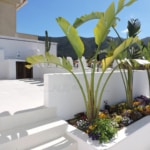 andratx casa de pueblo recien reformada azotea con plantas