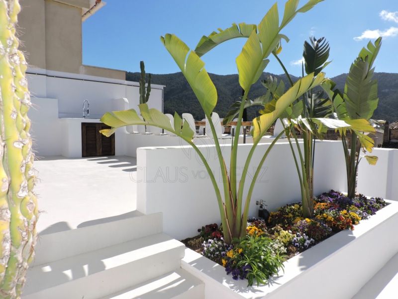 andratx frisch saniertes dorfhaus dachterrasse mit pflanzen