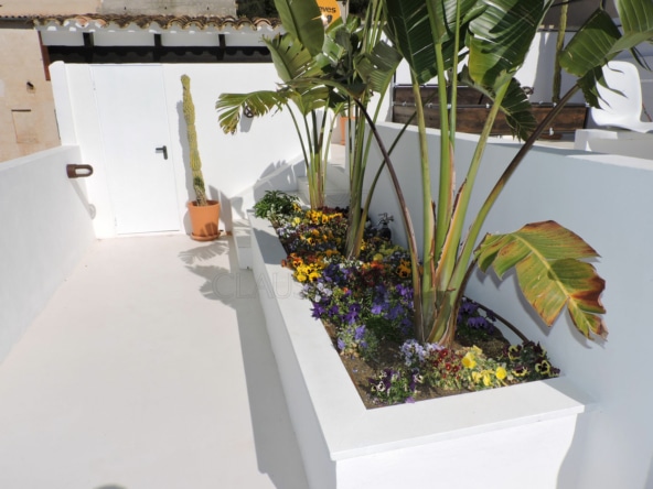 andratx newly renovated village house roof terrace plant