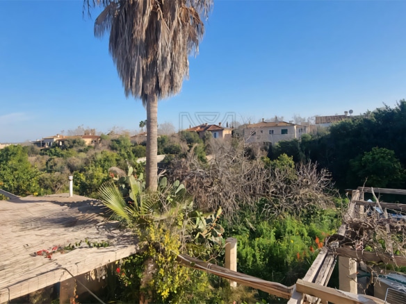 palma unique investment opportunity rustic finca with large plot to renovate views