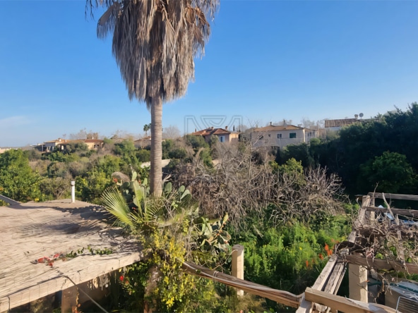 palma unique investment opportunity rustic finca with large plot to renovate views