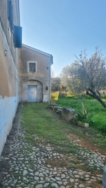 palma unique investment opportunity rustic finca with large plot to renovate backside