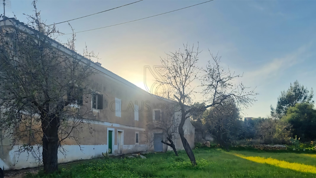 palma unique investment opportunity rustic finca with large plot to renovate side view