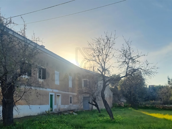 palma unique investment opportunity rustic finca with large plot to renovate side view
