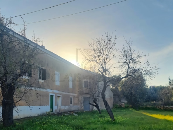 palma unique investment opportunity rustic finca with large plot to renovate side view