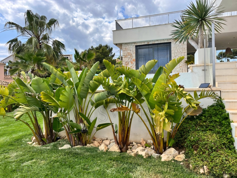 santa panca exclusiva casa de lujo en alquiler con vistas al mar jardin