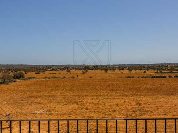 campos new build country finca view