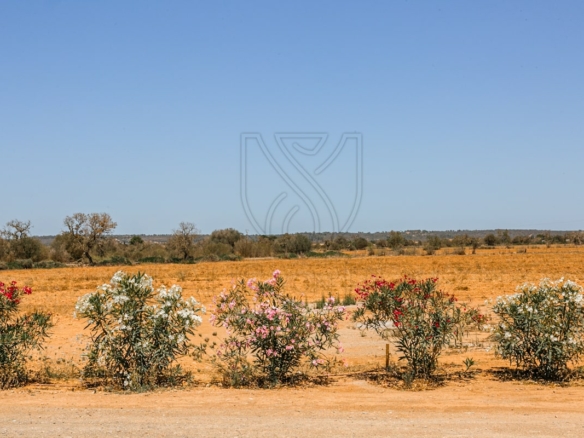 campos new build country finca panoramic view