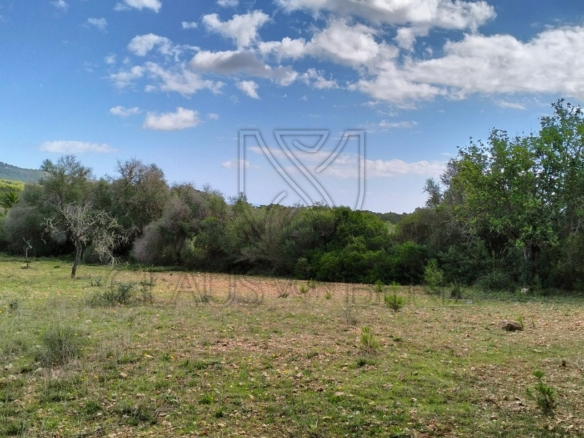 felanitx plot view min