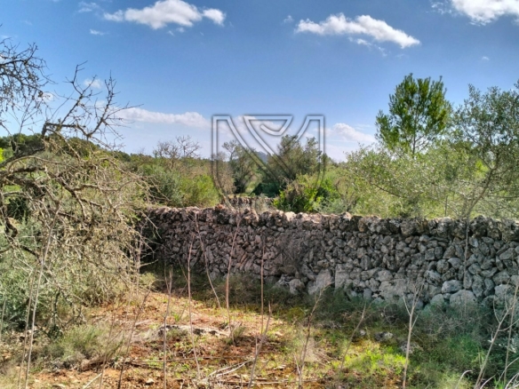 felanitx plot view4 min
