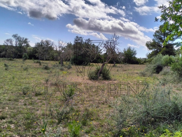 felanitx plot view5 min