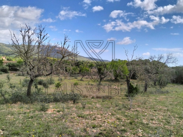 felanitx plot view6 min