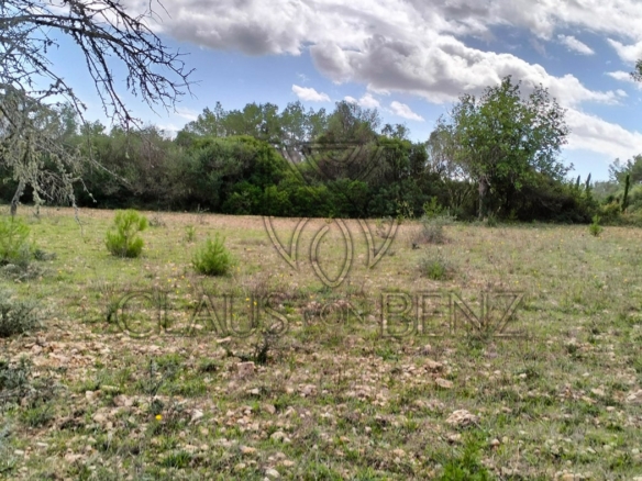 felanitx plot view7 min