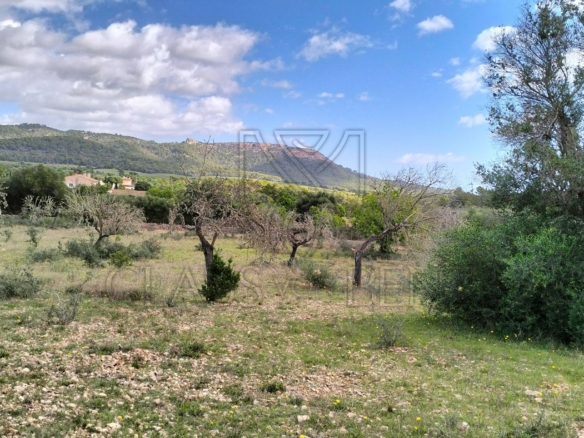 felanitx plot view mountains min