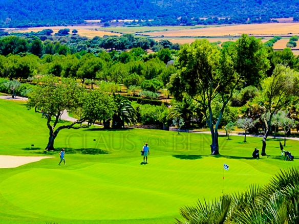 font de sa cala exclusivos pisos y chalets en una fantástica ubicación campo de golf
