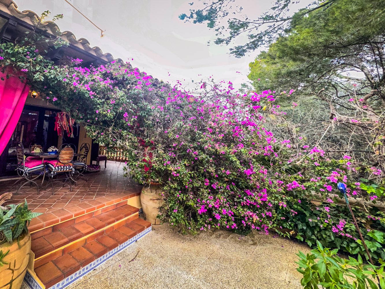 esporles freistehendes landhaus mit pool terrasse pflanzen