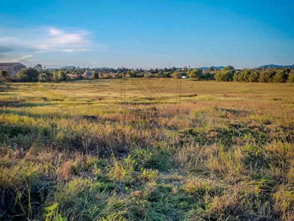 manacor fantastico terreno edificable con licencia 3 min