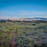 manacor fantastic building plot with building license min
