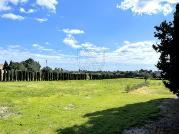 manacor finca mit vermietlizenz 13 min