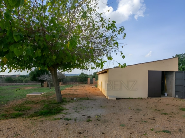 manacor finca mit vermietlizenz 16 min