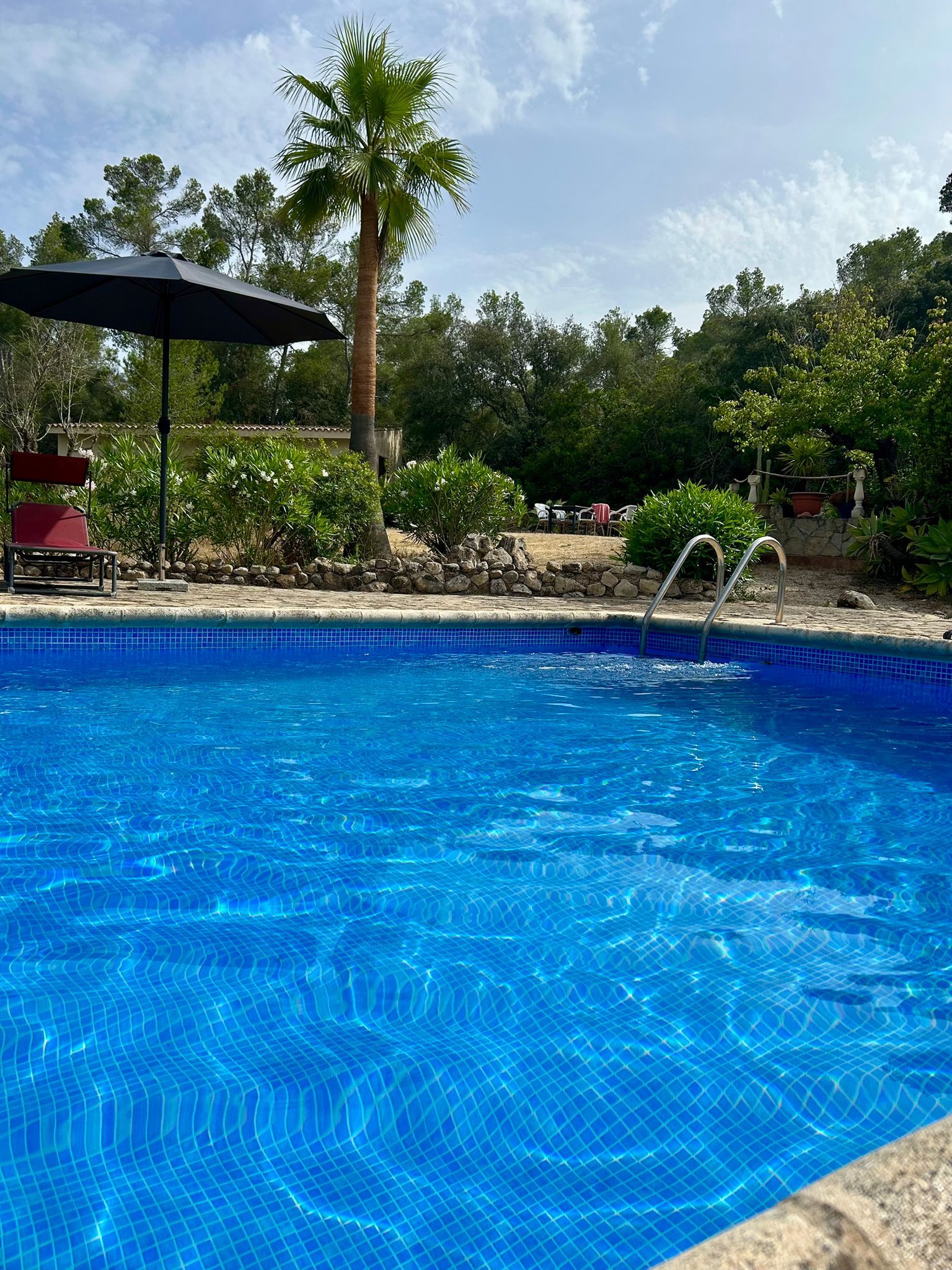 whatsapp image 2025 07 11 at 12.45.18 (2)